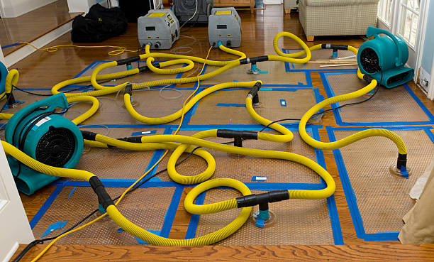 Professional Emergency Water Removal technician working in Plano, IL